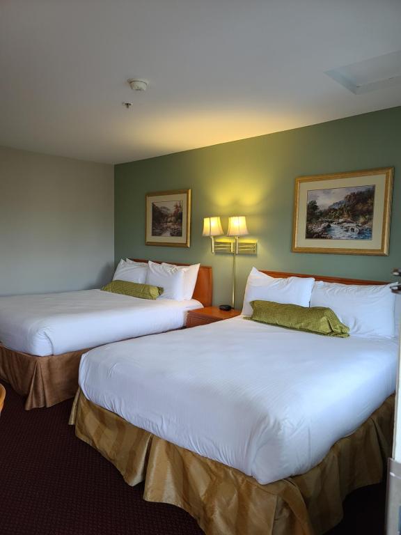 2 łóżka w pokoju hotelowym z zielonymi ścianami w obiekcie Tulip Inn Mount Vernon w mieście Mount Vernon