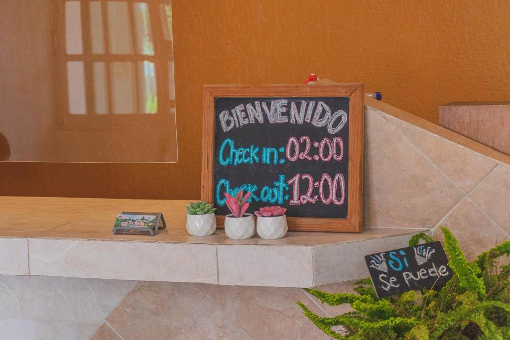 Certifikát, hodnocení, plakát nebo jiný dokument vystavený v ubytování Hotel Lagoon - Pet Friendly