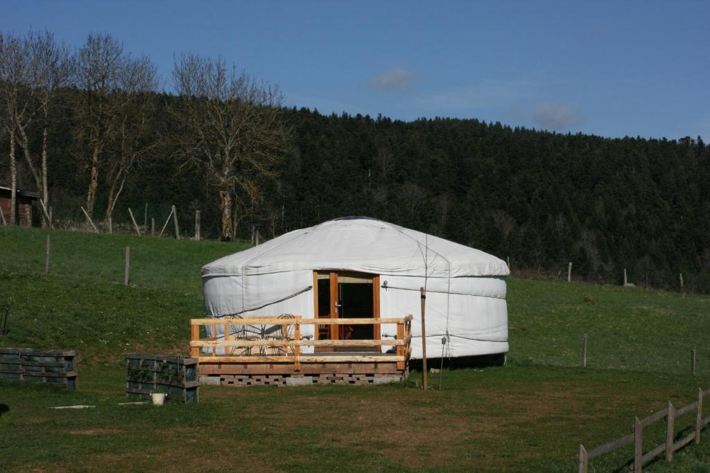 Příroda nedaleko luxury tent
