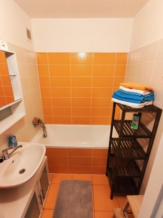 Koupelna v ubytování Apartmán Staré Hamry