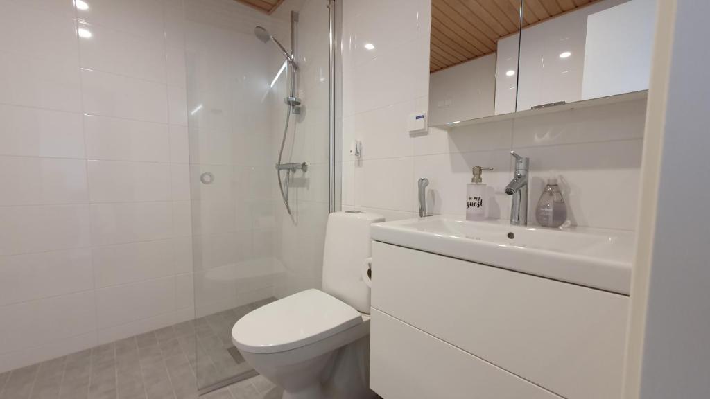a white bathroom with a toilet and a sink at Turku Center 6 in Turku