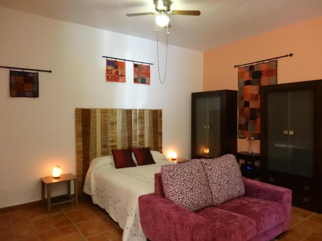 Spa y Casa Rural Rio Dulce - Estudio