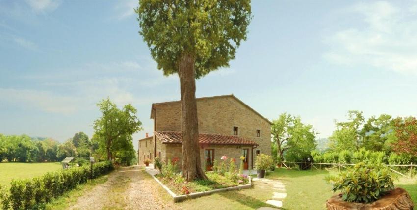 un gran árbol frente a un edificio en Agriturismo Il Piano, en Pratovecchio