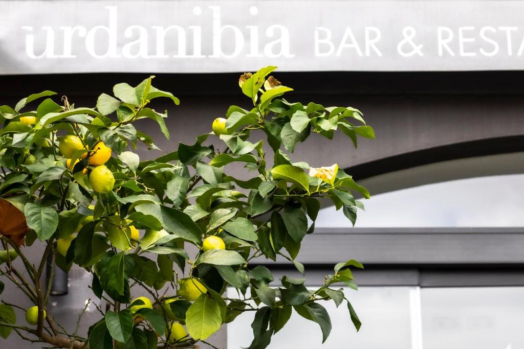 Fotografie z fotogalerie ubytování Hotel Urdanibia Park v destinaci Irún