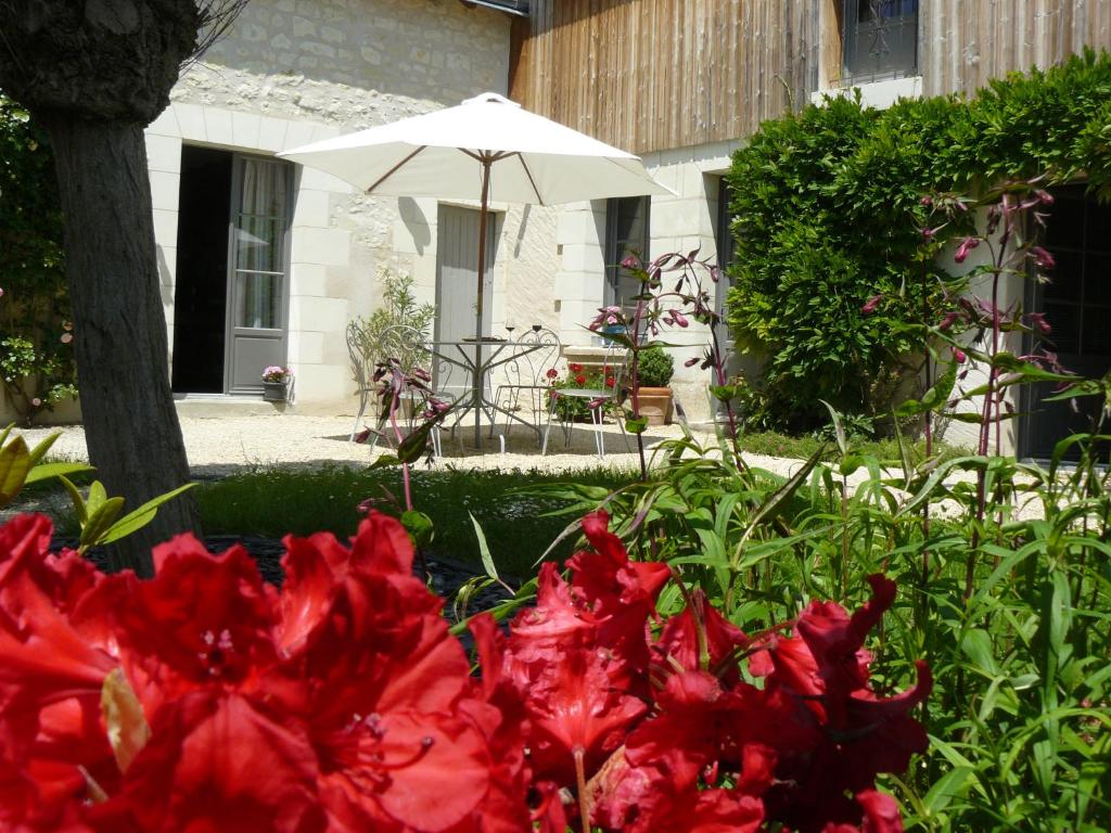 un jardín con flores rojas y una sombrilla en Chambres d'Hôtes Rue du Poids, en Bourgueil