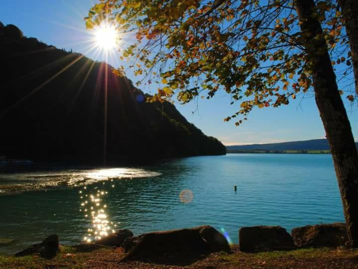 ein See mit Sonne auf dem Wasser in der Unterkunft Maison/Gîte familial dans le Jura à 200m du lac avec piscine privée in Marigny