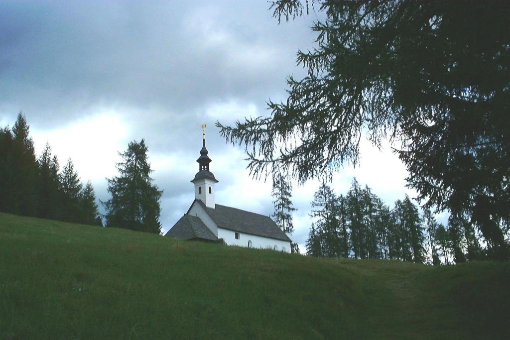 Příroda nedaleko apartmánu