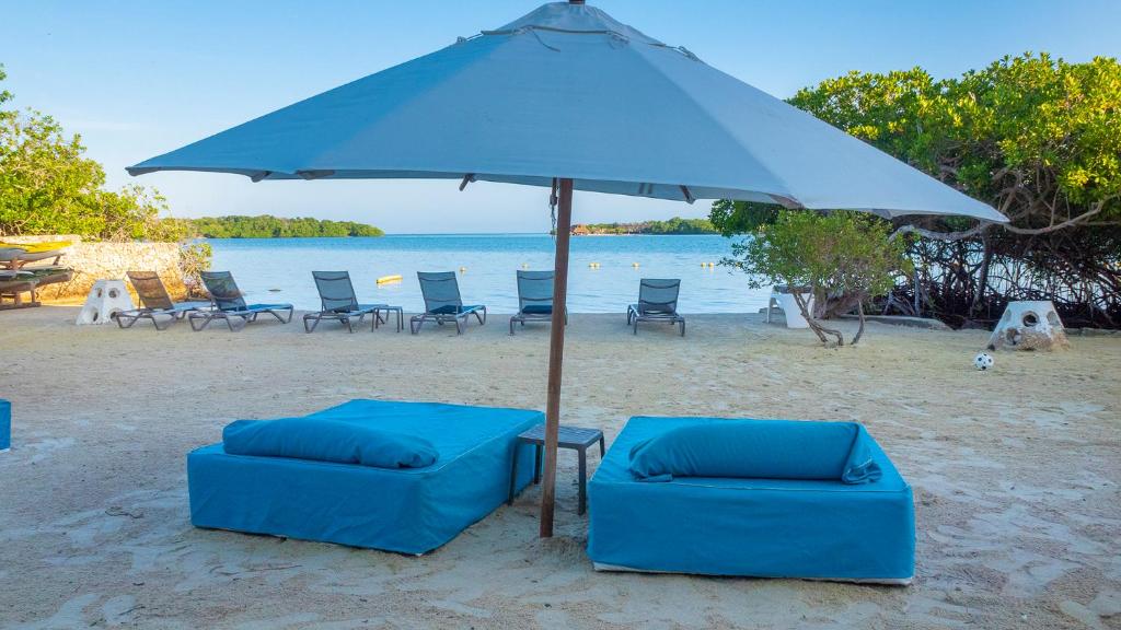 two blue chairs and an umbrella on the beach at Aura Hotel Barú in Baru