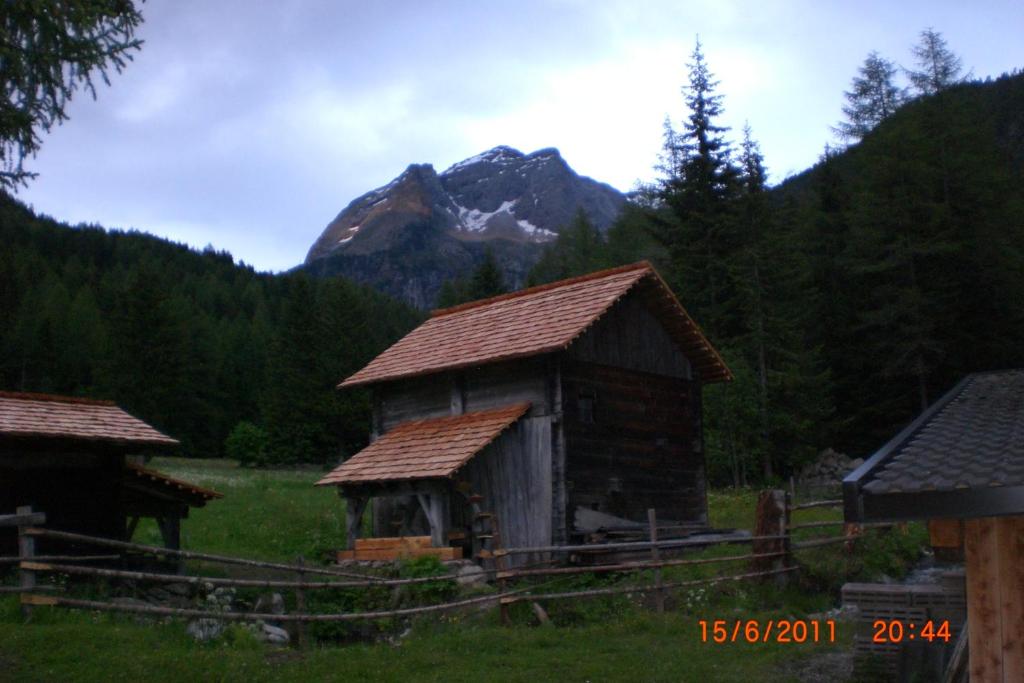 Příroda nedaleko apartmánu