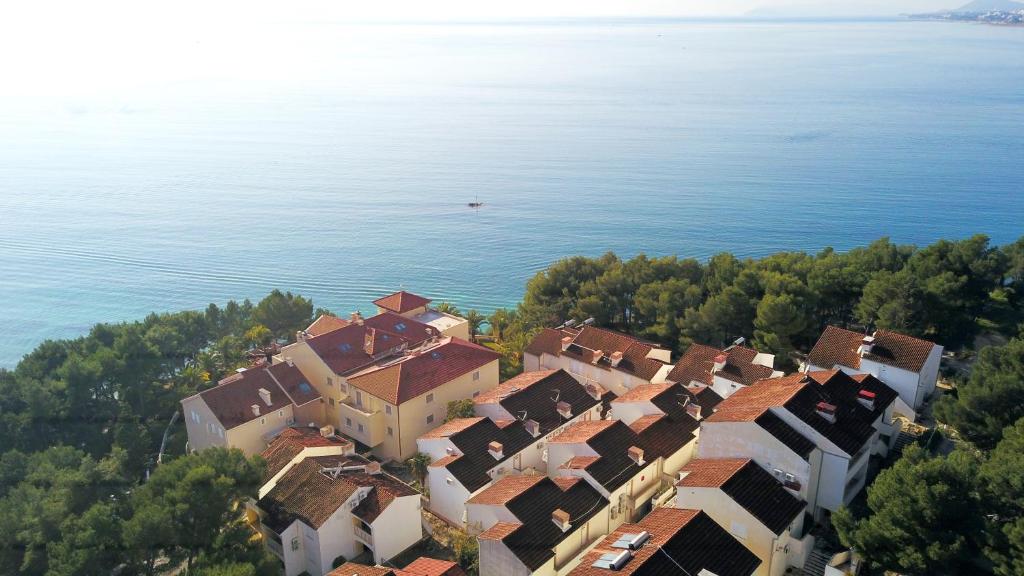 Příroda nedaleko apartmánu