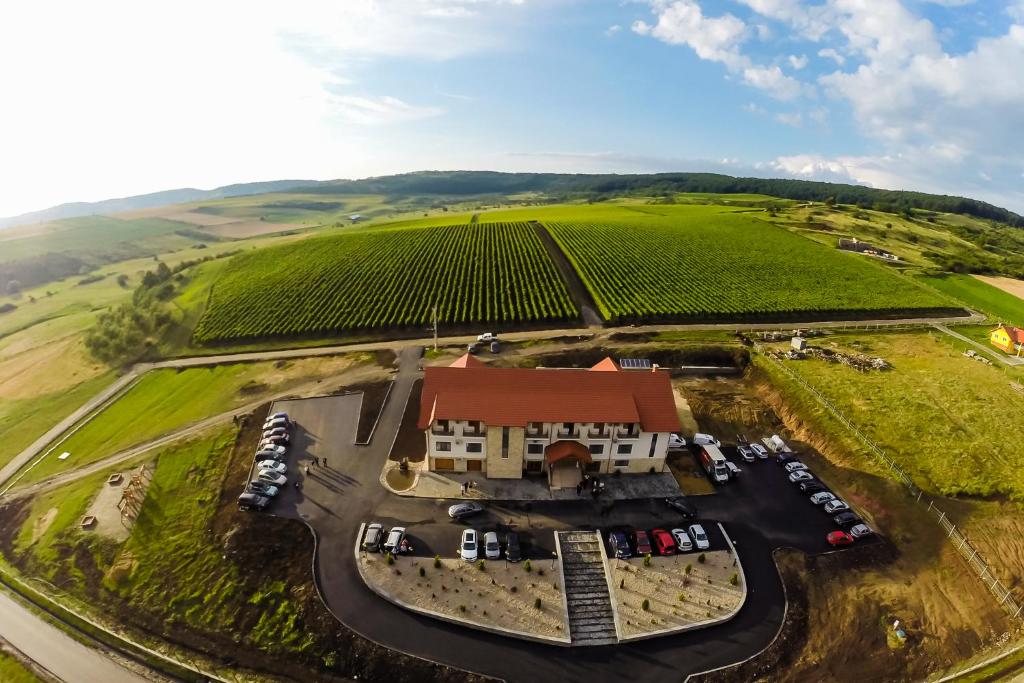 an aerial view of a vineyard with a building and cars at Pensiunea Kemsilvanum Fort Silvan in Camăr