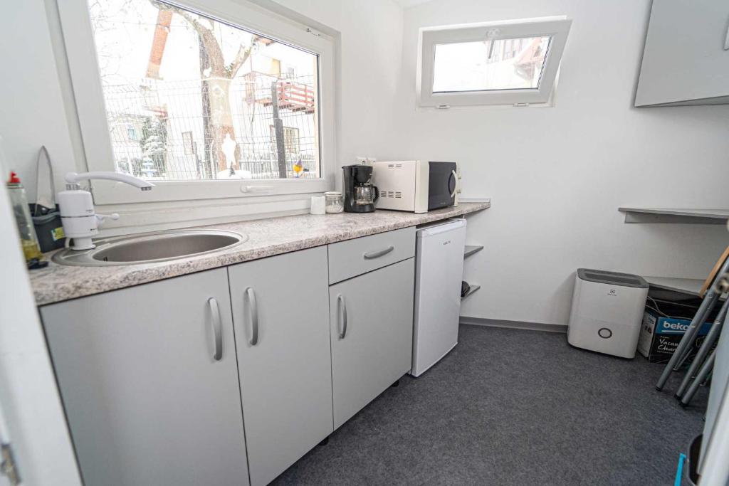 Kuchyň nebo kuchyňský kout v ubytování Casa Bucegi Busteni