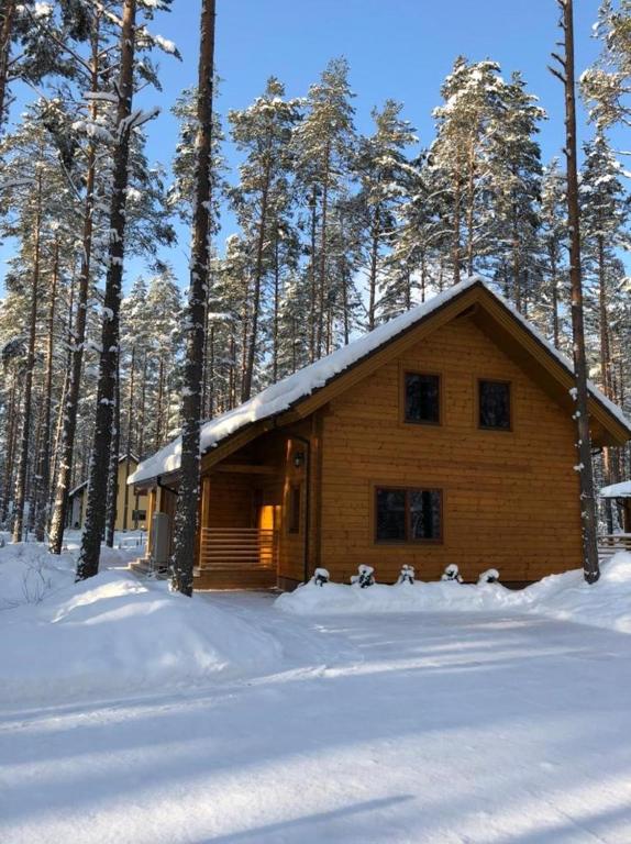 Splife Plus semi-detached cottage v zimě