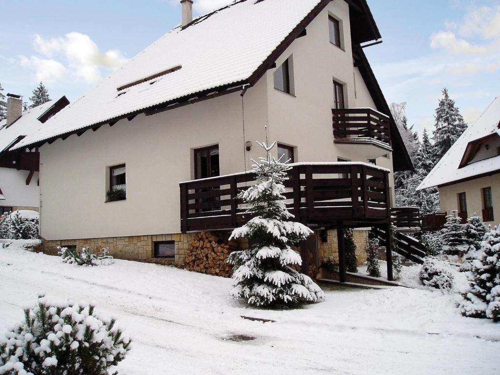 ハルラホフにあるApartment Harrachov 4の雪中のクリスマスツリーのある家