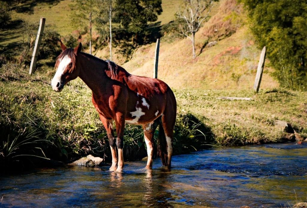  Chalé na Serra da Mantiqueira