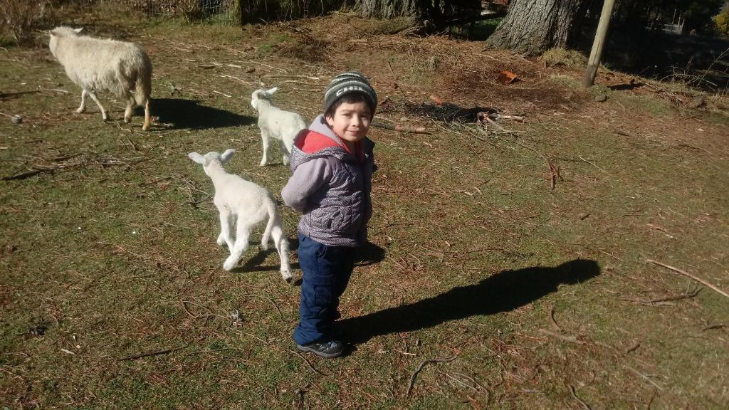 Cabañas Los Canelos Pucon, Hermosa Granja de 20 hectaréas a orillas del Río Liucura