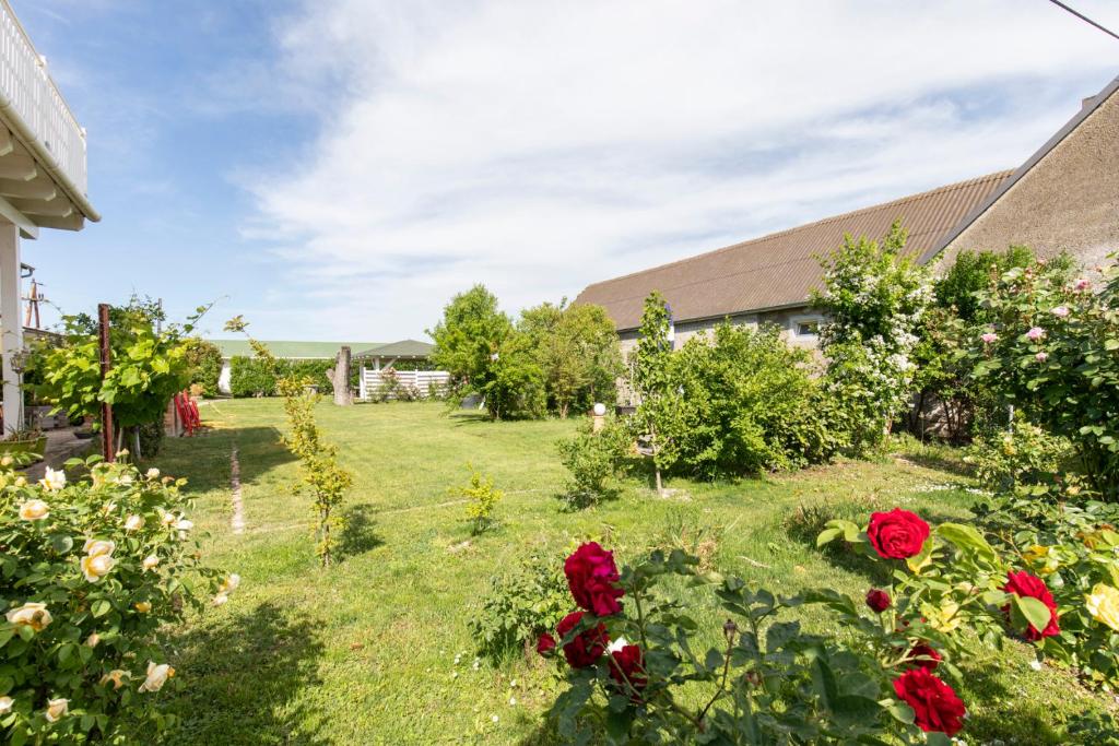 a garden with red roses and a building at Pension Tadtendrang in Tadten