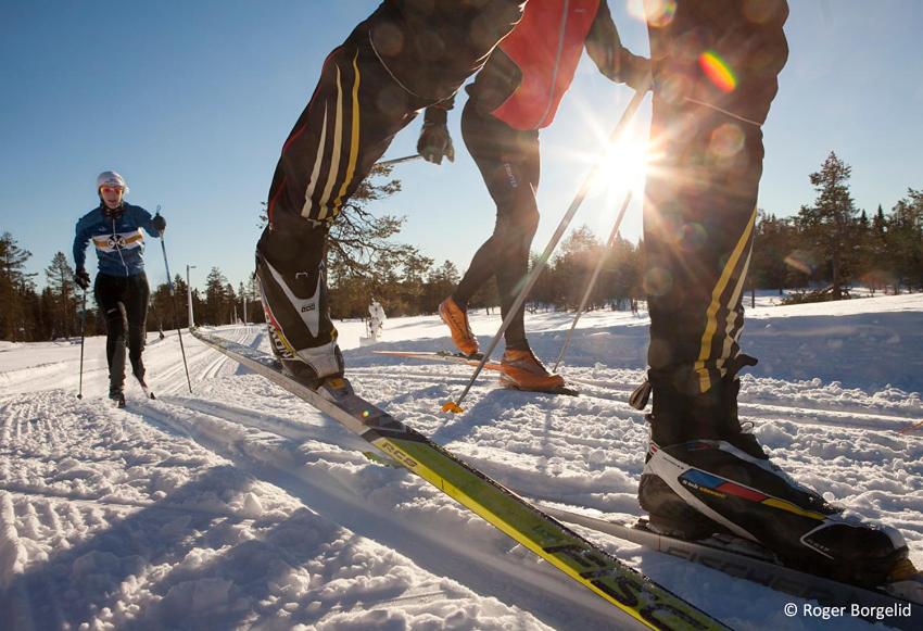 Hosté ubytování Långbergets Sporthotell
