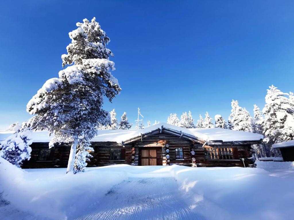 サーリセルカにあるSaarikejo Huskylodgeの雪の中の木の丸太小屋