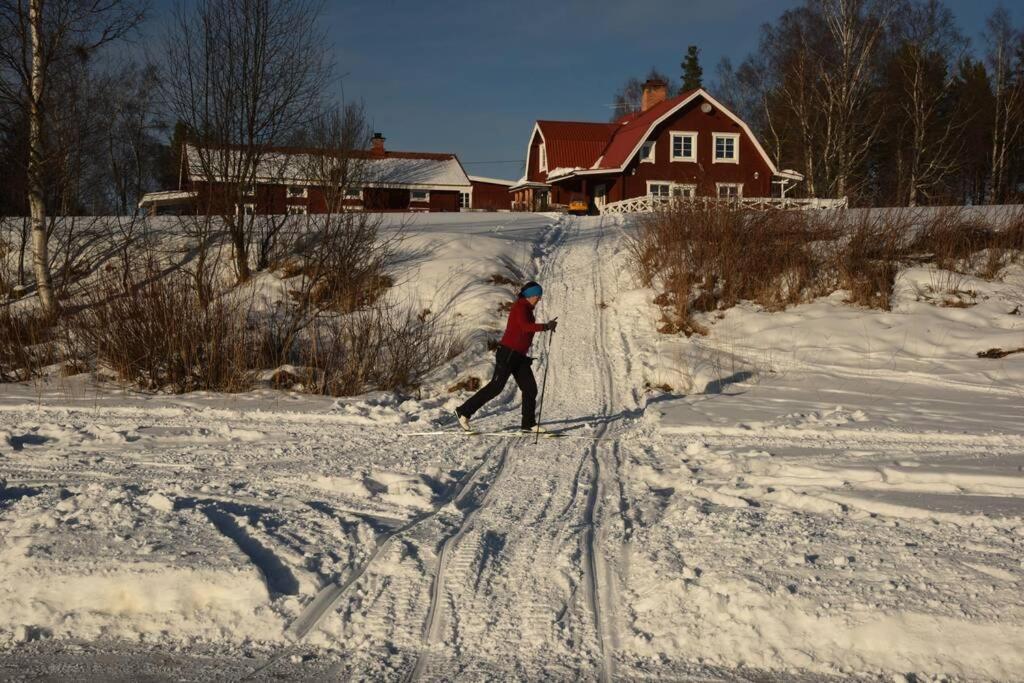 Gammal Stugan SKOGSFEEN v zimě