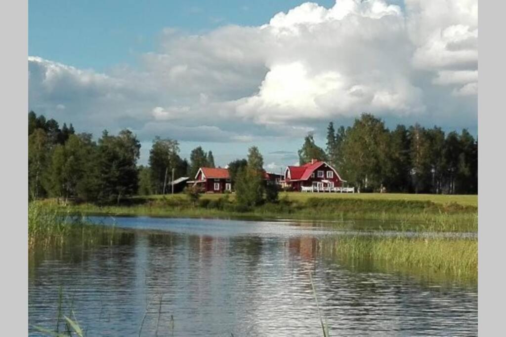 einem See mit Häusern in der Mitte eines Feldes in der Unterkunft Gammal Stugan SKOGSFEEN in Ytterhogdal