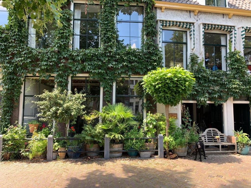 um edifício com muitas plantas em frente em 't hart van Schiedam em Schiedam