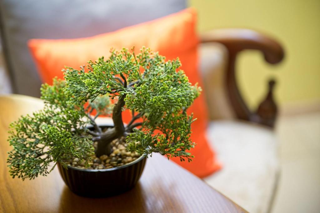 Medison Family Boutique B&B - 8