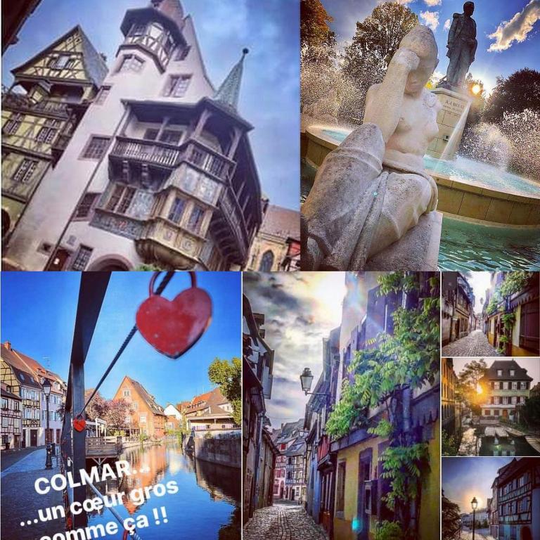 LE 1 " GÎTES TOUT CONFORT à COLMAR CENTRE" – photo 16