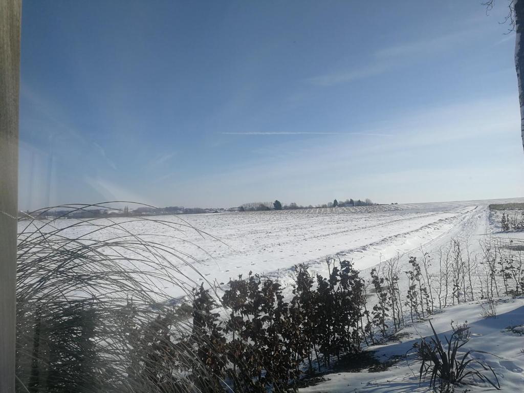 Příroda nedaleko bed and breakfast