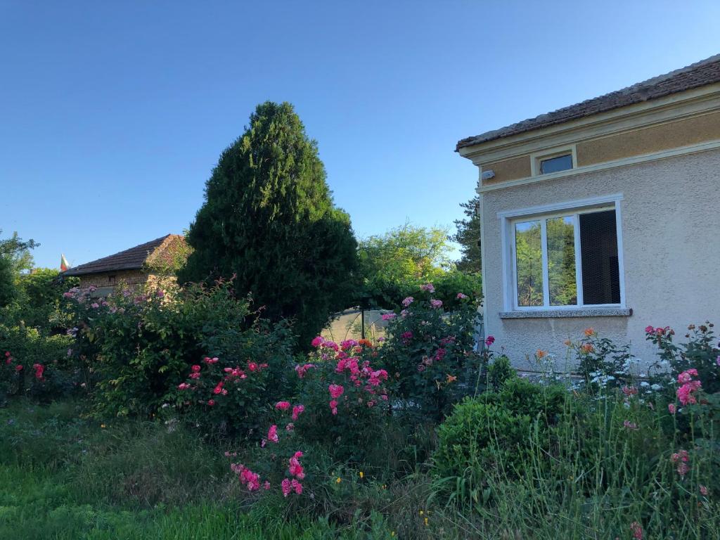 un campo de flores frente a una casa en Rose garden, en Batovo