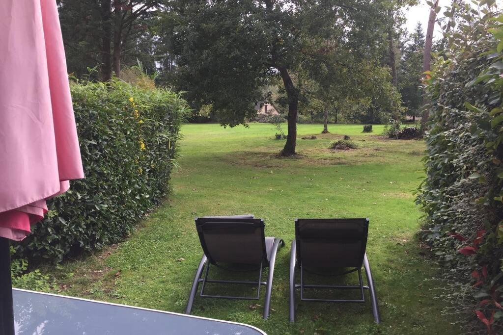 twee stoelen in het gras in een park bij Cottage au sein du "Hameau du golf" de la Bretesche in Missillac