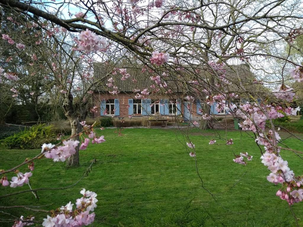 a house with pink flowering trees in front of a yard at Saffels Nest 33 in Lochristi