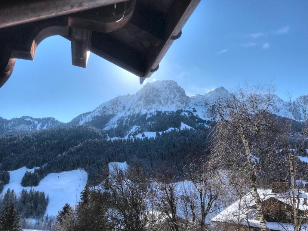 Les Jumelles, Gstaad – Updated 2023 Prices