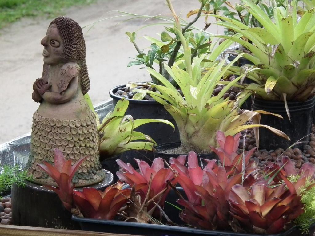  Cabanas Aconchegantes próximas ao mar