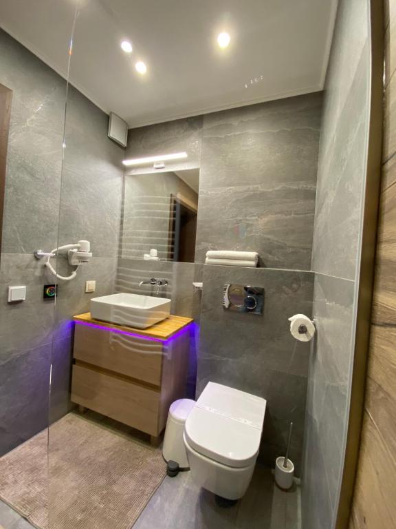 Willa pod Czantorią SPA Ustroń - 1