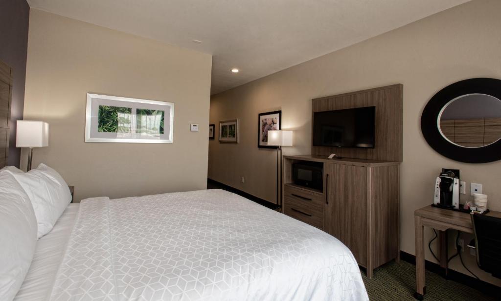 Holiday Inn Express Hotel and Suites Port Aransas/Beach Area by IHG - Habitación Estándar King
