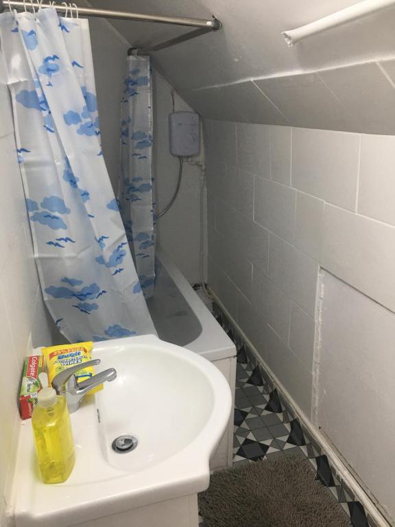 a bathroom with a sink and a shower curtain at Glorious catering & Restaurant BnB in Ocker Hill