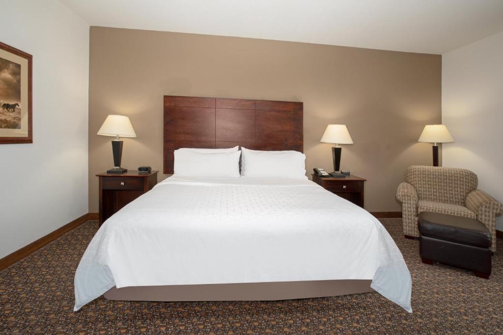 Holiday Inn Express Hotel & Suites Lander by IHG - Standaard Kamer