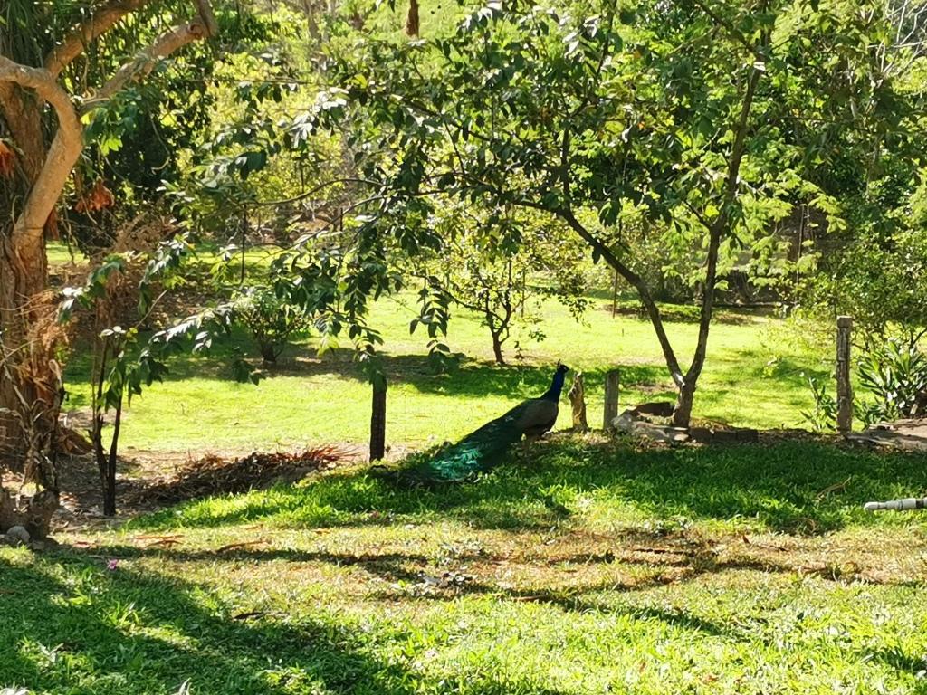 Rancho El Capricho