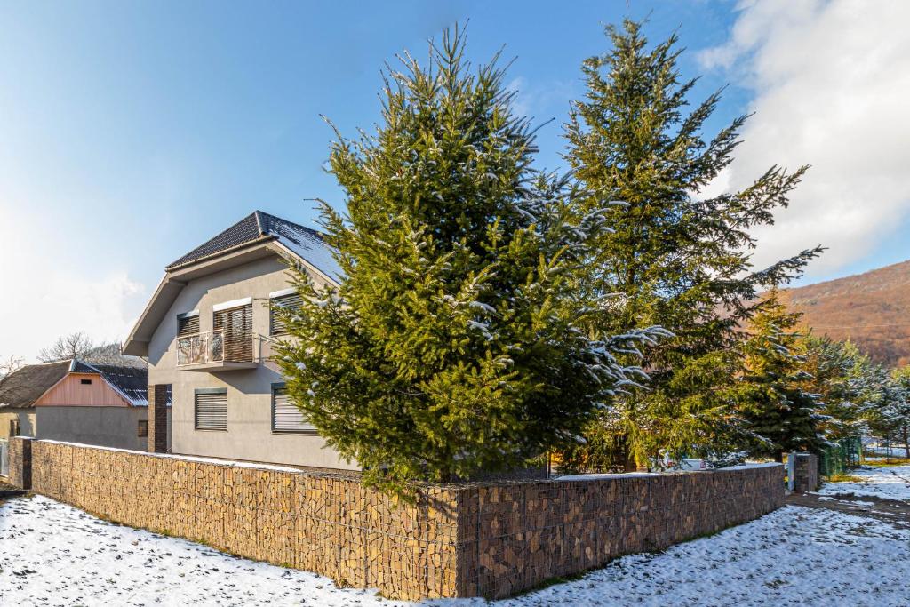 due alberi di fronte a una casa nella neve di Nikol a Turitsa