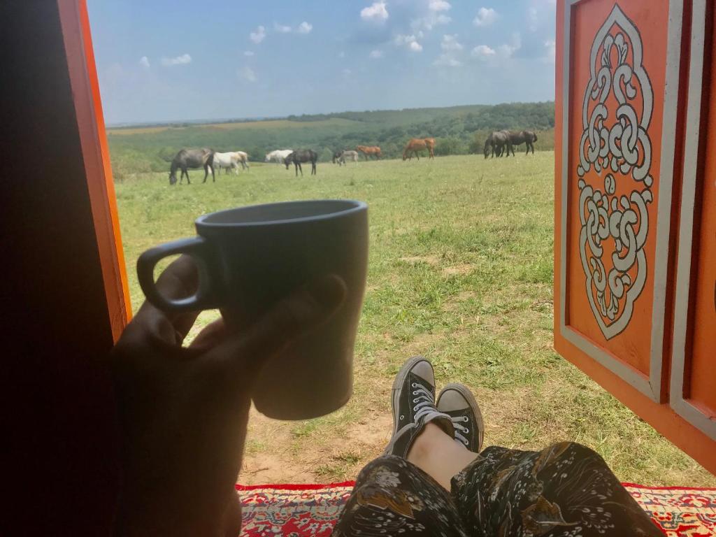 een persoon met een koffiekop die uit een raam kijkt naar een kudde paarden bij Dharma Horse Shelter Bungalows & Farmping in Siófok