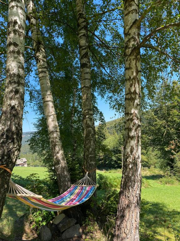 Apartamenty Carpe Diem - 12