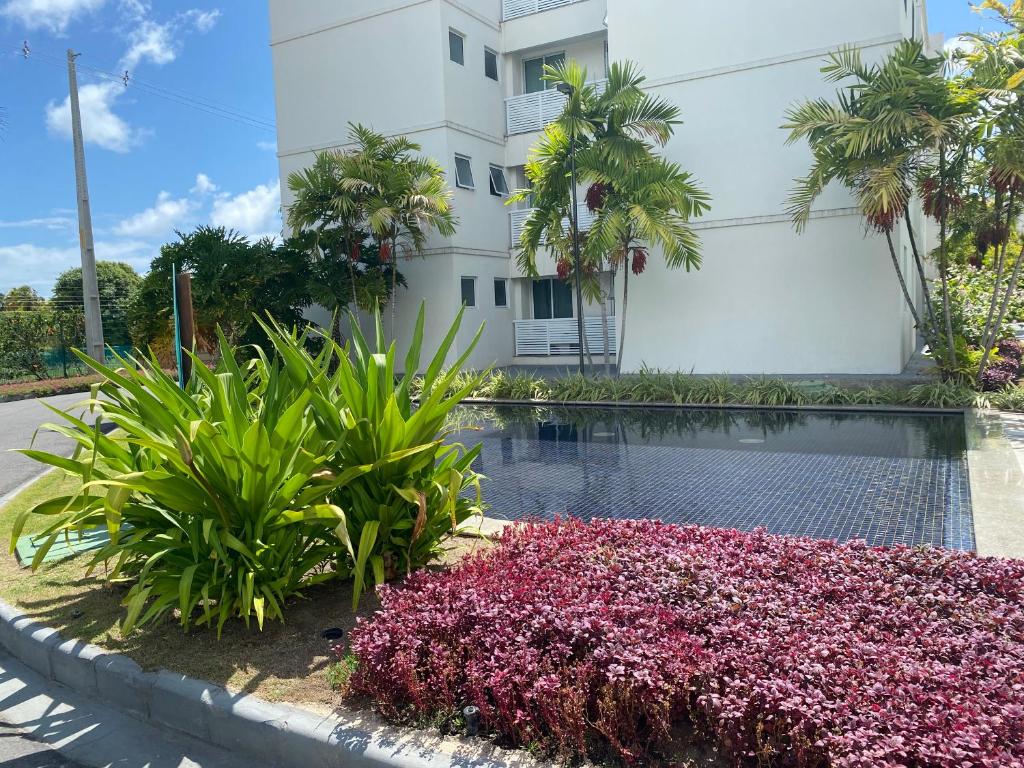  Férias no Paraíso