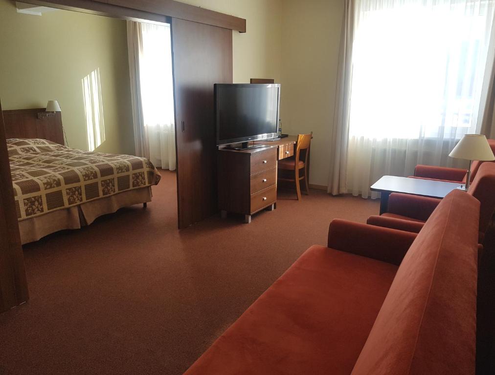 Televízia a/alebo spoločenská miestnosť v ubytovaní Hotel Olivia