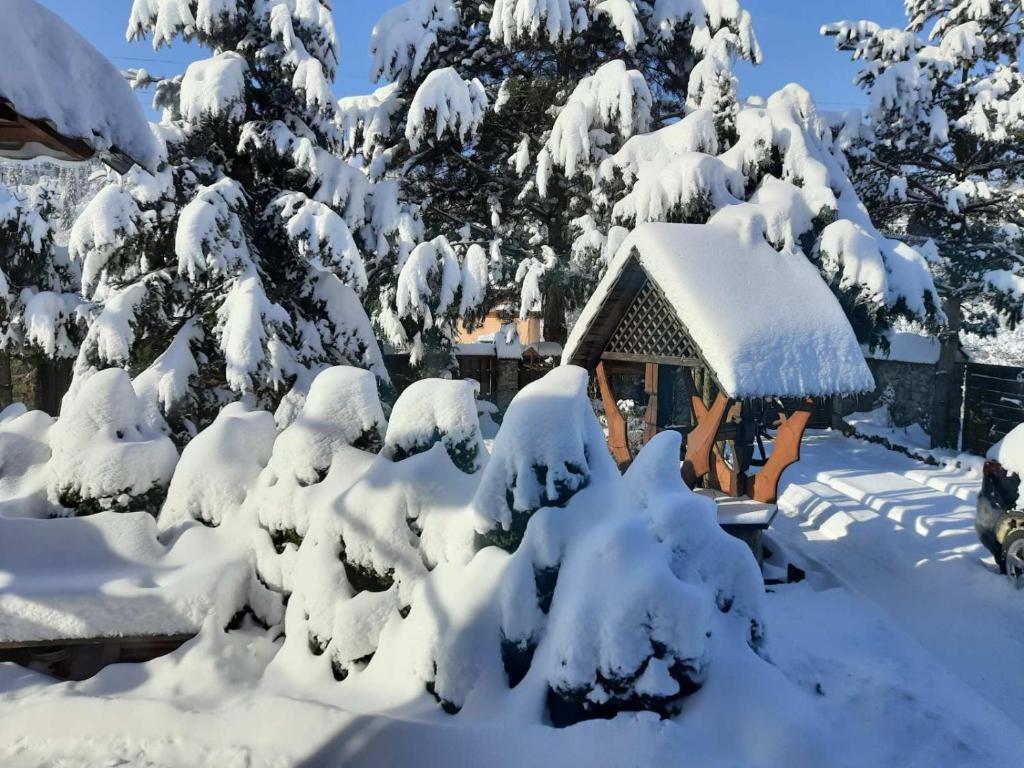 a cabin covered in snow next to trees at Sadyba Iryna Садиба Ірина in Tukhlya