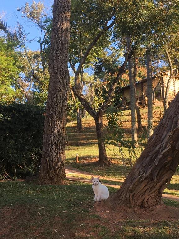 Linda chácara em S. Roque/SP 6.000m2 Alto Padrão