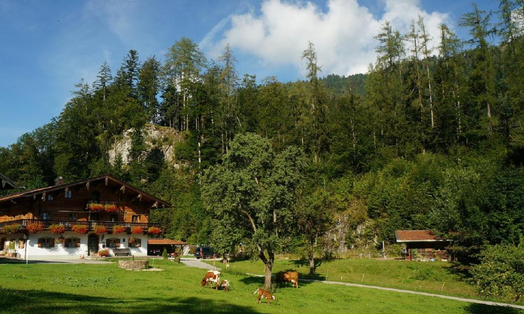 a building with cows in a field next to a mountain at Sulzenhof in Ruhpolding