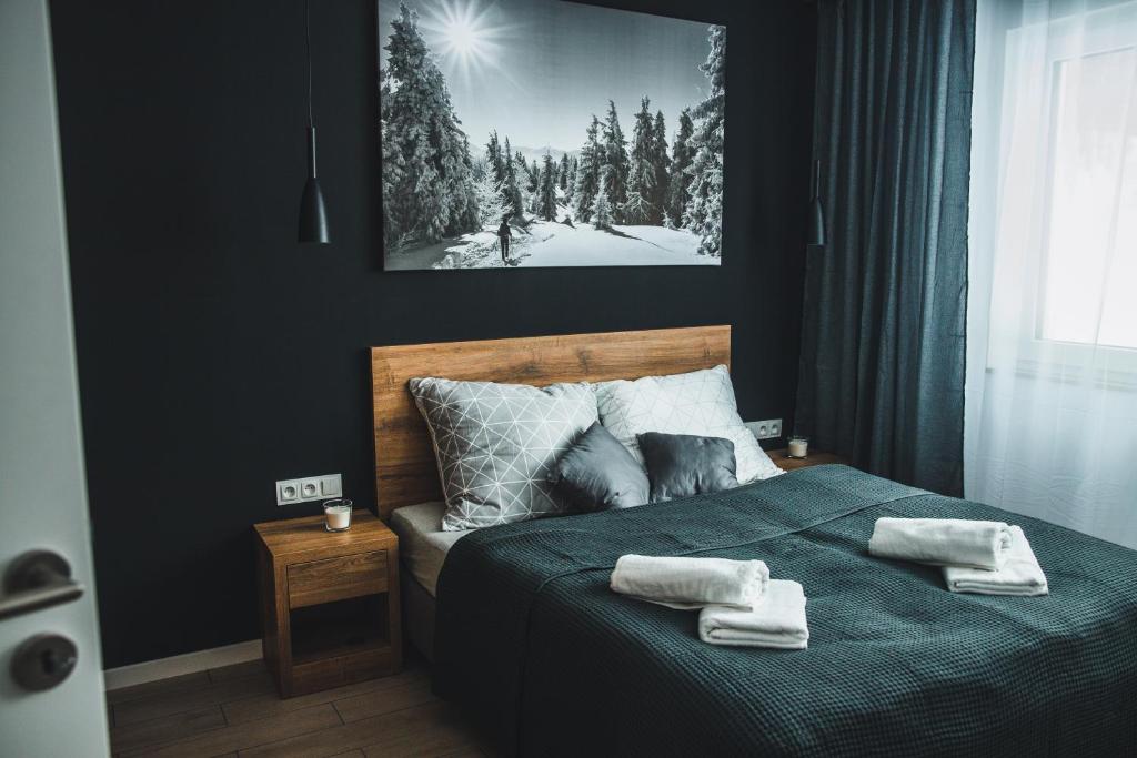 Apartamenty Pod Stokiem 200 m do kolejki Na Skrzyczne - szczyrk apartamenty - 5