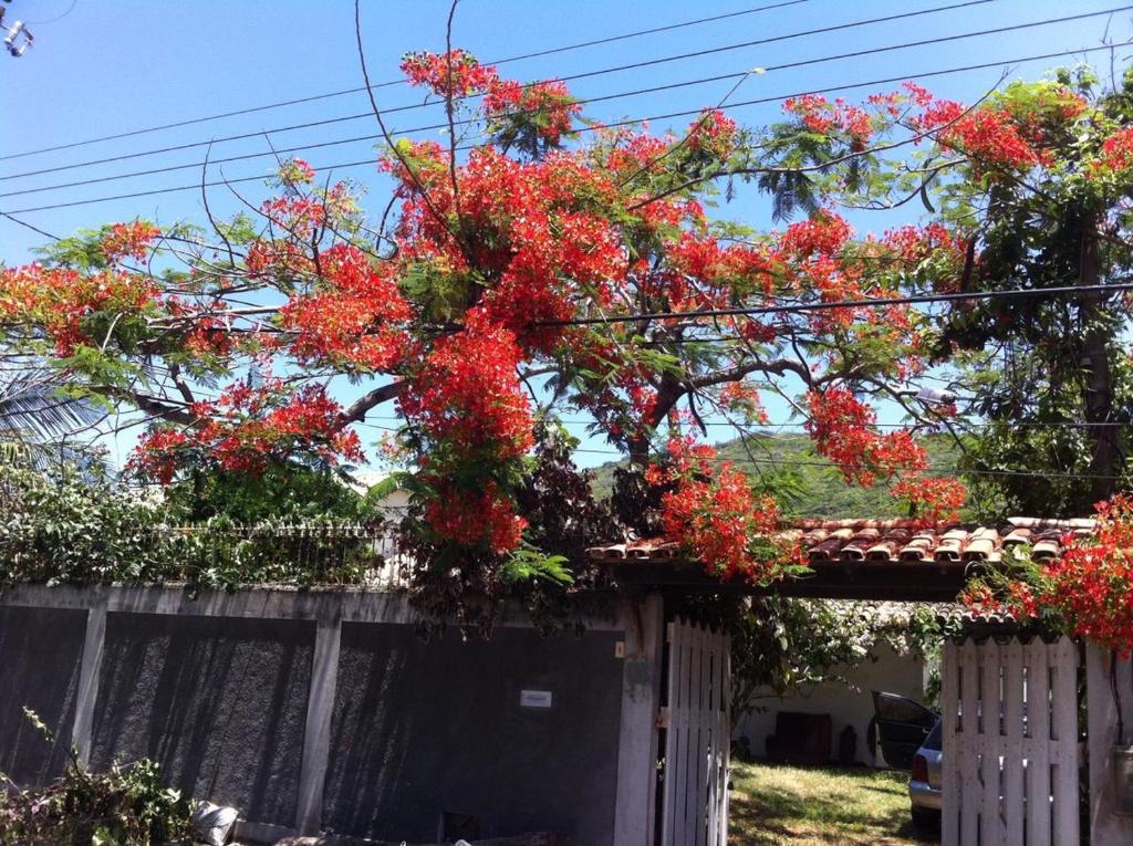  Casa plana com 4 quartos e piscina em Arraial do Cabo