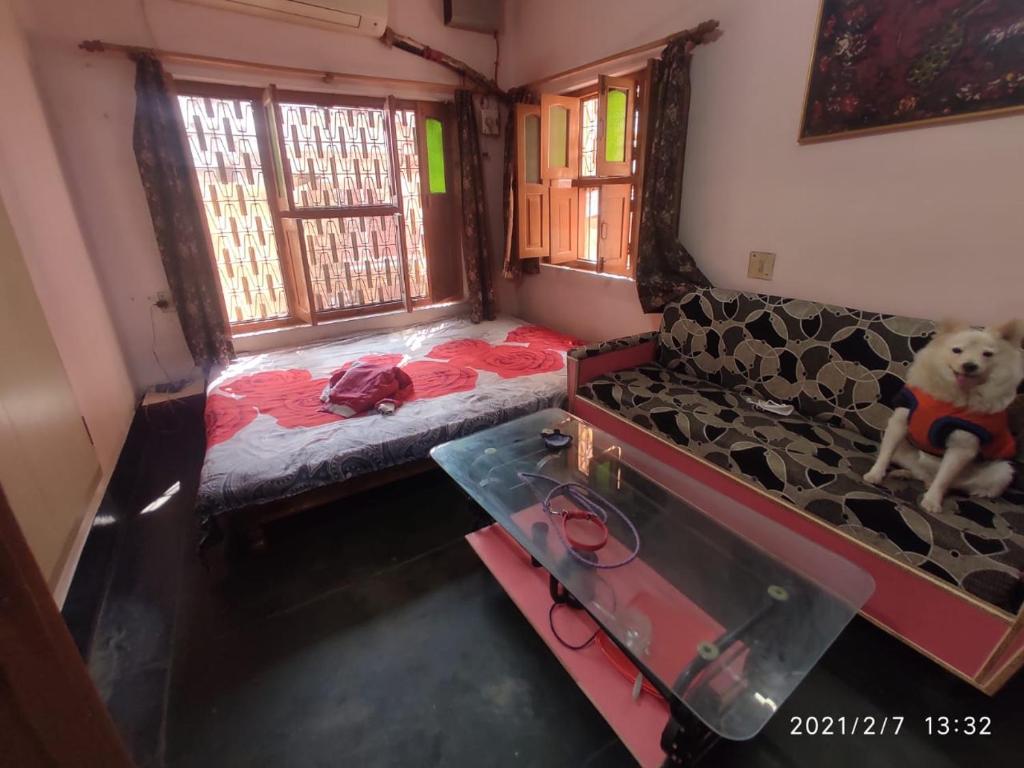 une petite chambre avec un chien assis sur un lit dans l'établissement HERITAGE HOMESTAY@OLD CITY NEAR GANGES, à Varanasi
